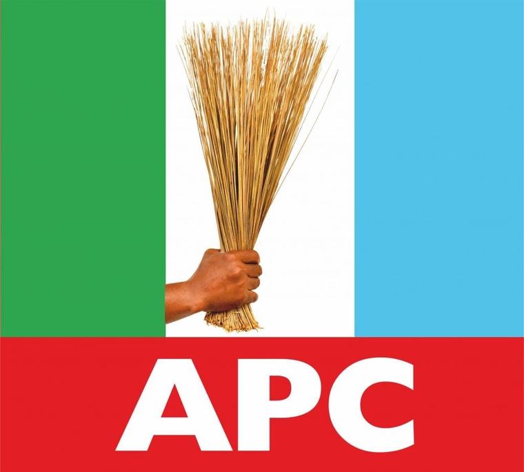 APC Chieftain faults campaign council composition, suggests list was patronising