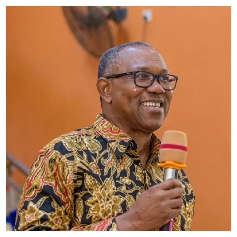 2027: Election rigging won’t happen under my watch – Peter Obi