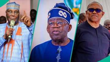 2027 election: Tinubu projected to win 20 states, see full list