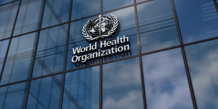 Africa’s Tobacco Production Rises Despite Global Decline – WHO