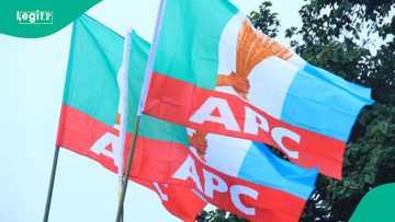 Tinubu, Atiku or Obi? Fresh prophecy reveals 2027 winner