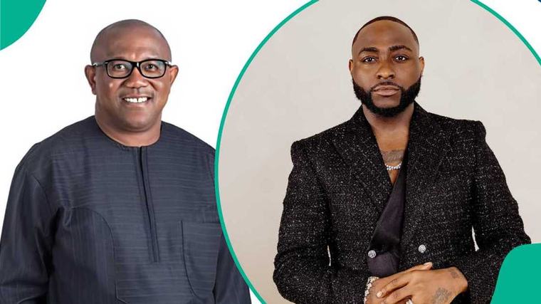 2027 election: Real fact emerges on Peter Obi 'endorsing Peter Obi'