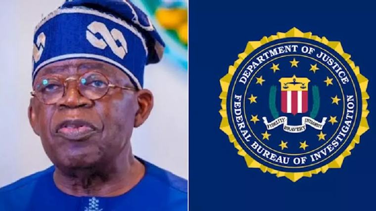 Legal Rights to Challenge Disclosure: A Perspective on President Tinubu's Case