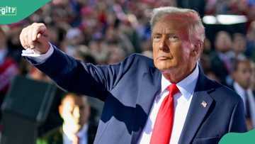Real fact surfaces about US President Donald Trump 'being dead'