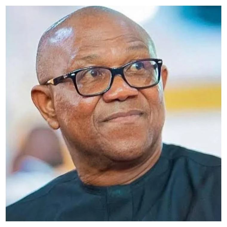 Your emphasis on Tinubu’s past records now ludicrous – Presidential aide hits Peter Obi