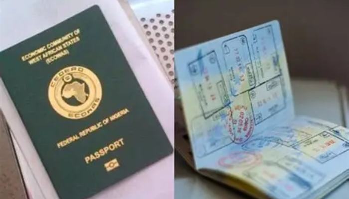 5 countries offering Nigerians five-year multiple-entry visas