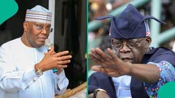 Tinubu, FBI case: Group challenges Obasanjo, Soyinka, others