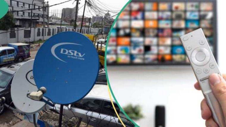 MultiChoice Nigeria CEO reveals the next step after firm's Canal+ acquisition