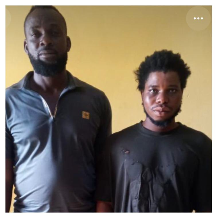 Troops rescue two kidnapped farm workers, neutralise suspect in Lagos