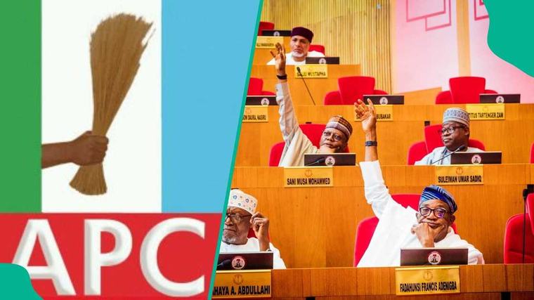 Breaking: Court nullifies APC senatorial primary, gives reason